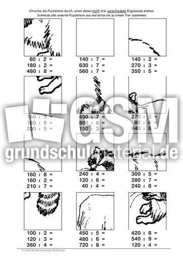 Waschbär.pdf